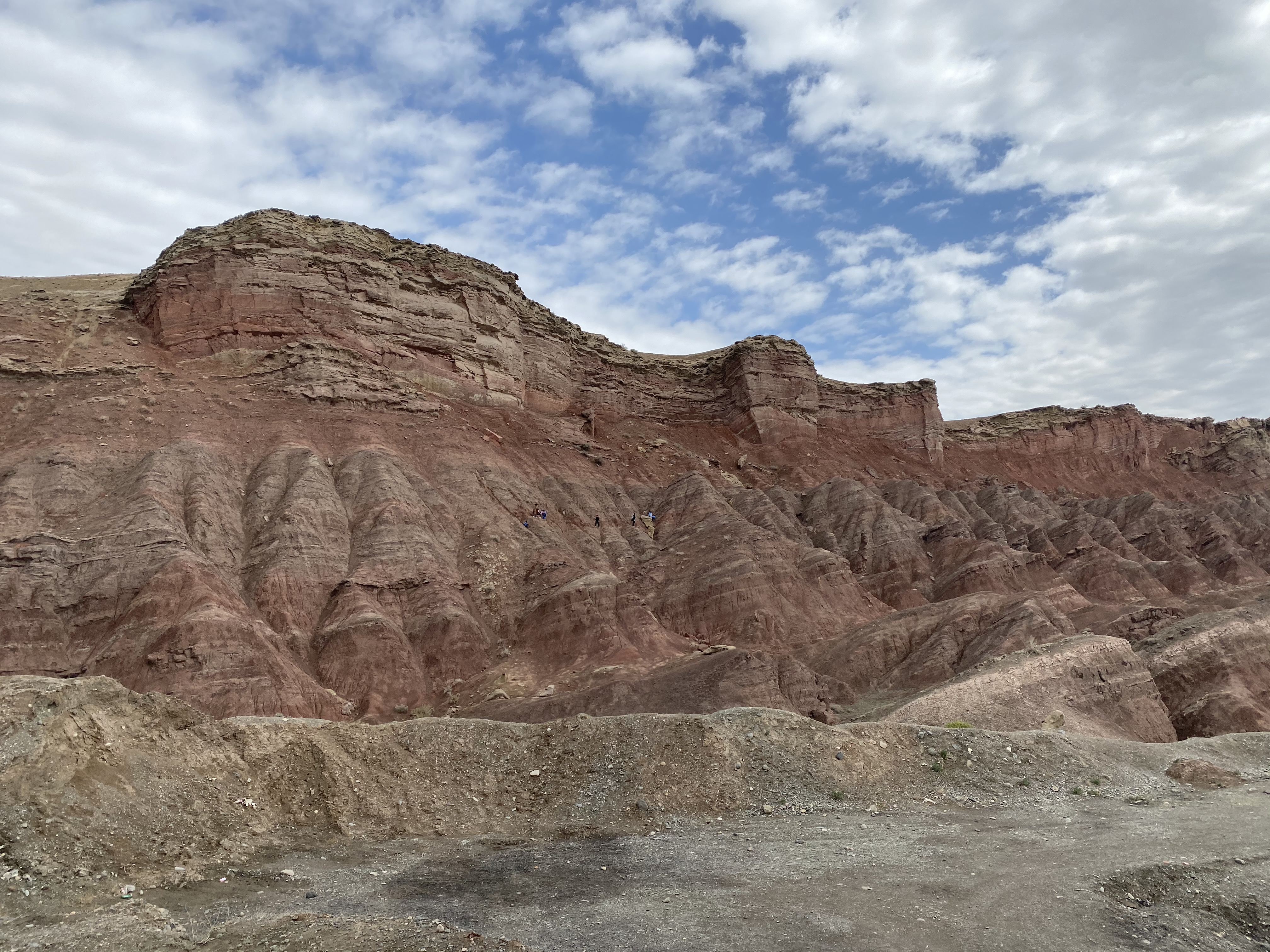 S101 公路景色一